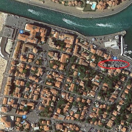 Studio Cosy - La Plage A Pied كابروتو المظهر الخارجي الصورة