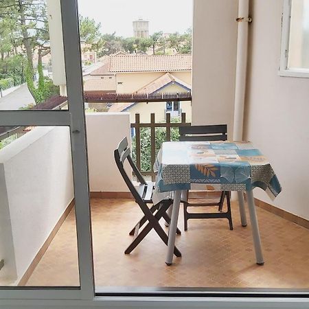 Studio Cosy - La Plage A Pied كابروتو المظهر الخارجي الصورة